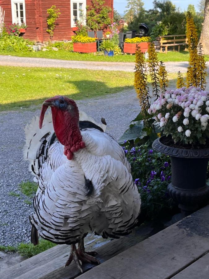 Grindstugan Pa Fyras Gard Hammerdal Buitenkant foto