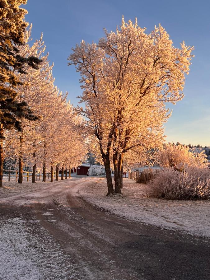 Grindstugan Pa Fyras Gard Hammerdal Buitenkant foto