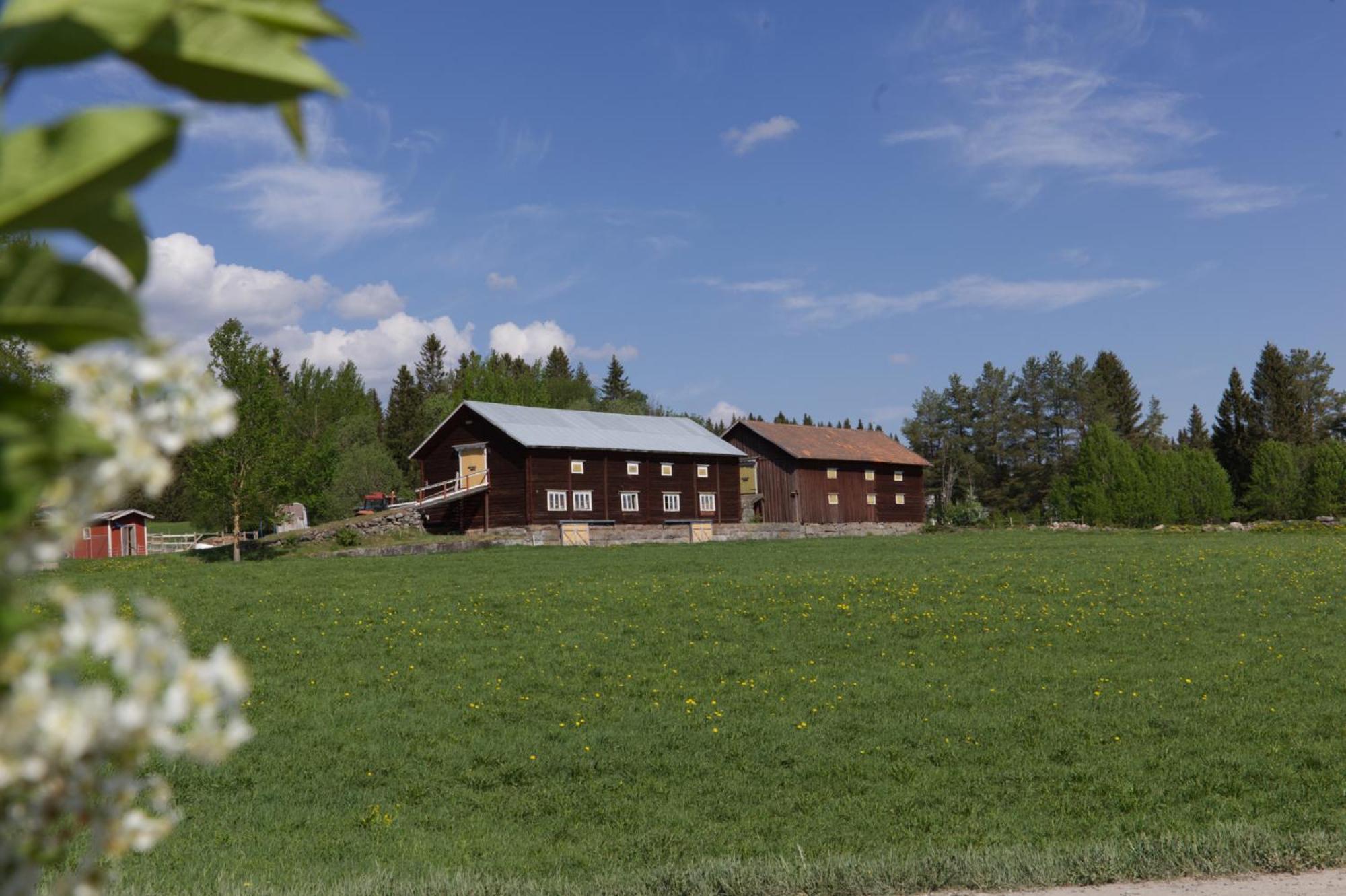 Grindstugan Pa Fyras Gard Hammerdal Buitenkant foto