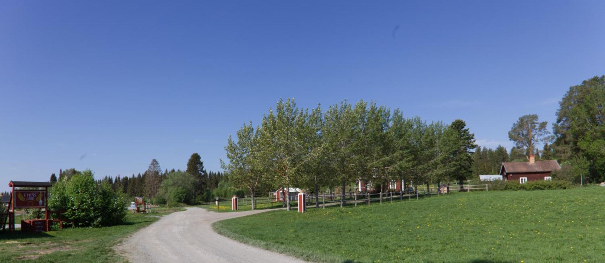 Grindstugan Pa Fyras Gard Hammerdal Buitenkant foto